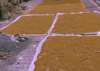 Malatya’da kışlık bulgur mesaisi başladı