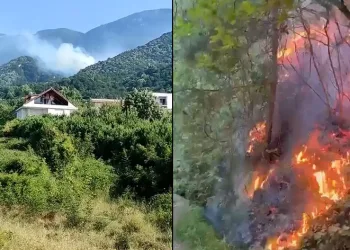 Uludağ’ın eteklerinde çıkan yangın kontrol altına alındı