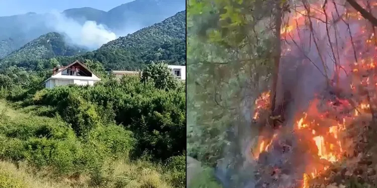 Uludağ’ın eteklerinde çıkan yangın kontrol altına alındı