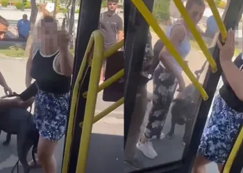 Otobüse köpekle alınmayan kadın ortalığı birbirine kattı