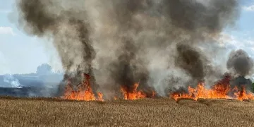 20 günde 500 dönüm tarla yandı