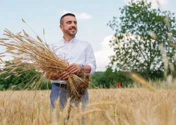 Türkiye’nin en ucuz ekmeği için hasat başlıyor