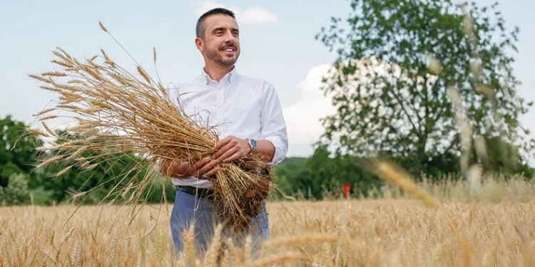 Türkiye’nin en ucuz ekmeği için hasat başlıyor