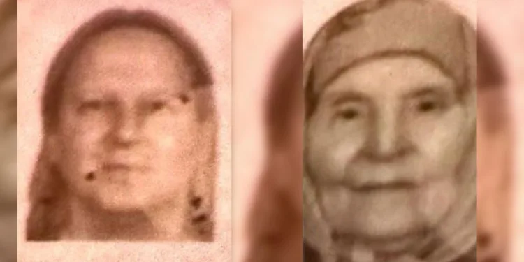 Anne ile oğlunun evde cansız bedenleri bulundu