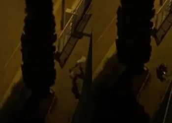 Direnen kadını bir yumrukla yere savurdu