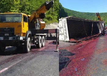 Bursa’da kiraz yüklü kamyon devrildi