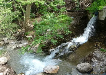 Eskişehir vadisi görenleri hayran bıraktırıyor