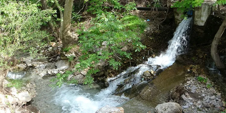 Eskişehir vadisi görenleri hayran bıraktırıyor
