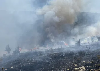 Manisa’da makilik alanda yangın