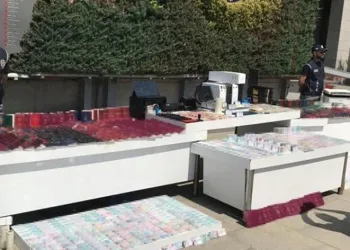 Sahte pasaport operasyonu