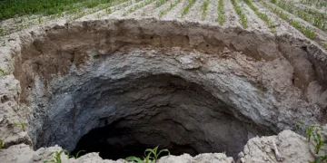 Orman yangınları yeraltı sularını bitiriyor