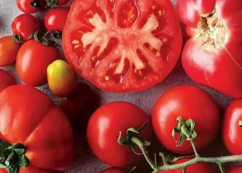 Miktarı azaldı, fiyat endeksi arttı