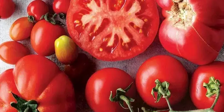 Miktarı azaldı, fiyat endeksi arttı