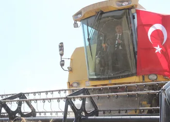 Buğday ve arpada rekolte arttı
