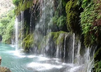 Adana’ya serinlemek için geldiler