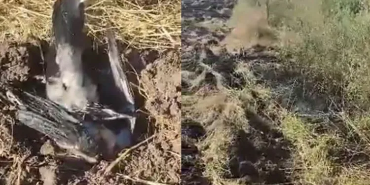 Elektrik tellerine çarpan kargalar yangın çıkardı