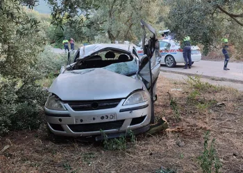 Bursa’da otomobil zeytinliğe daldı