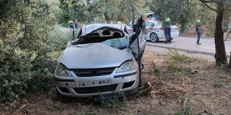 Bursa’da otomobil zeytinliğe daldı