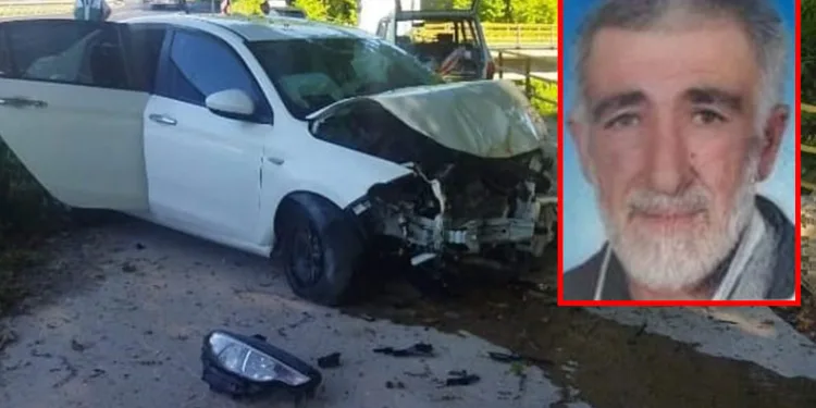 Bursa’da kaza yapan otomobil piknikteki aileye çarptı