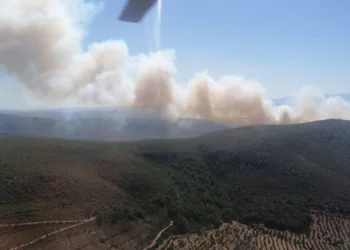 Çeşme’de orman yangını