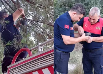 Karganın imdadına itfaiye yetişti