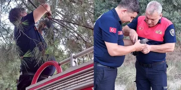 Karganın imdadına itfaiye yetişti