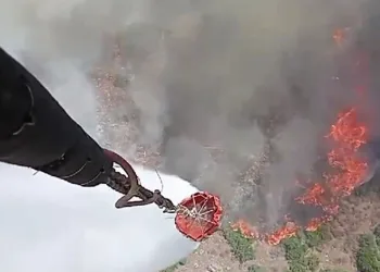 Manisa’da orman yangını