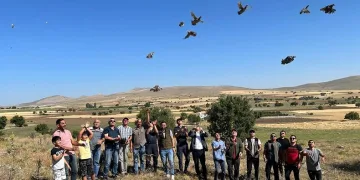 600 kınalı keklik doğaya salındı