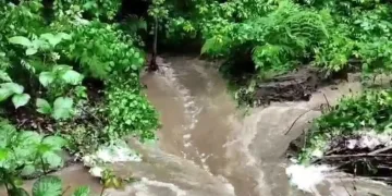 Sağanak yağış sonrası yol çöktü