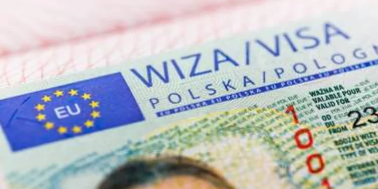 Polonya Rus güreşçilere vize vermedi