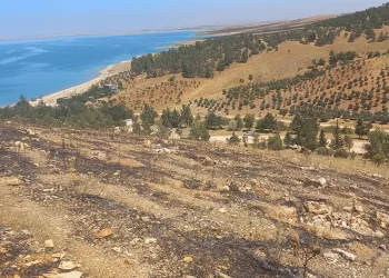 Atatürk Barajı ormanında korkutan yangın