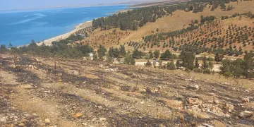 Atatürk Barajı ormanında korkutan yangın