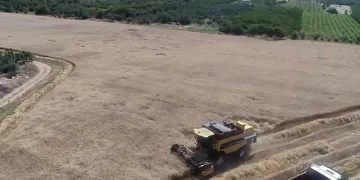 Atıl arazi ekonomiye kazandırıldı