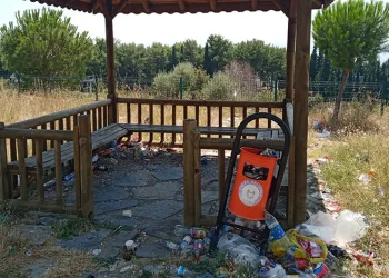 ADÜ’deki kamelyalar mikrop yuvası oldu