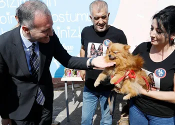 6 ayda binlerce hayvana şifa oldu