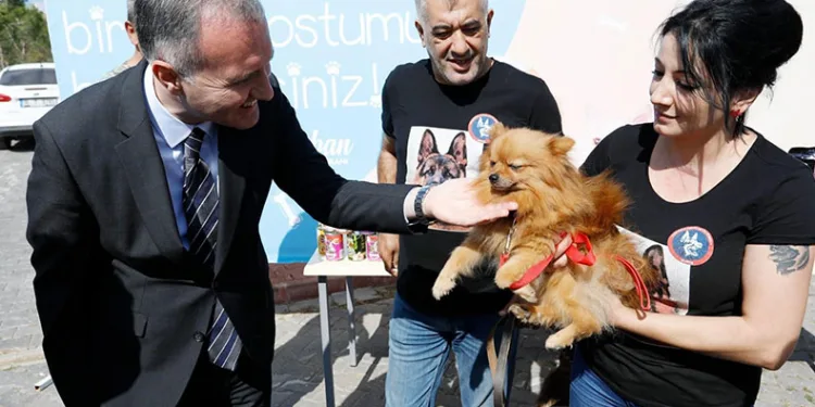 6 ayda binlerce hayvana şifa oldu