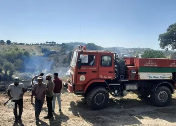 Zirai alan ve orman yangını