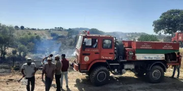 Zirai alan ve orman yangını