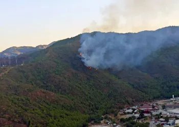 Marmaris orman yangını ile uyandı