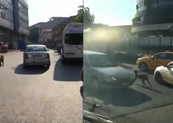 Araç seyir halindeyken köpeği gezirdirdi