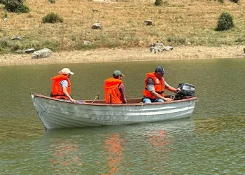 Yasa dışı avcılığa geçiş yok
