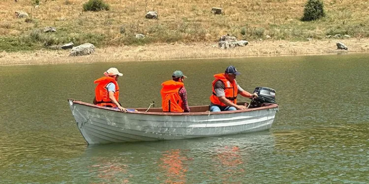 Yasa dışı avcılığa geçiş yok