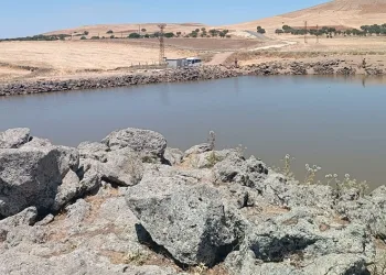 1 günde 2’si kardeş 3 kişi boğuldu