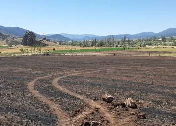 “Tarlam yandı balya yapamadım”