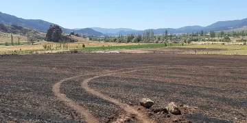“Tarlam yandı balya yapamadım”