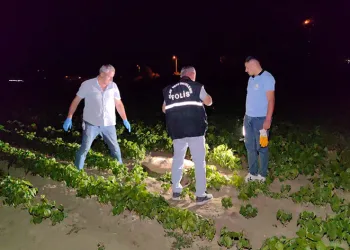 Doğum yapmış köpeği av tüfeğiyle vurdular