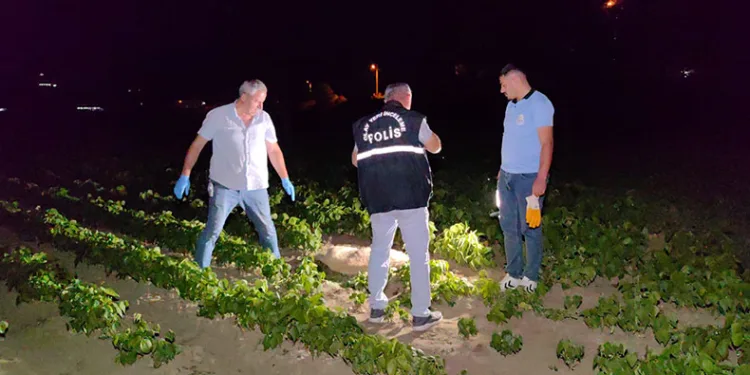 Doğum yapmış köpeği av tüfeğiyle vurdular