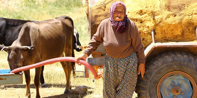 Antalya’nın “Çoban Haritası” çıkartılıyor