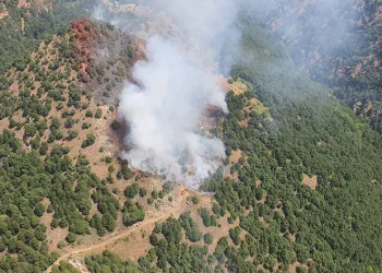 Alaşehir’de orman yangını