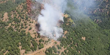 Alaşehir’de orman yangını